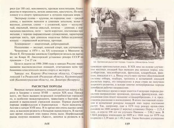 Владимир Гладенко - Книга о лошади - Страница № 75
