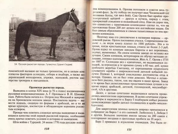 Владимир Гладенко - Книга о лошади - Страница № 76