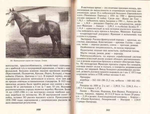Владимир Гладенко - Книга о лошади - Страница № 81