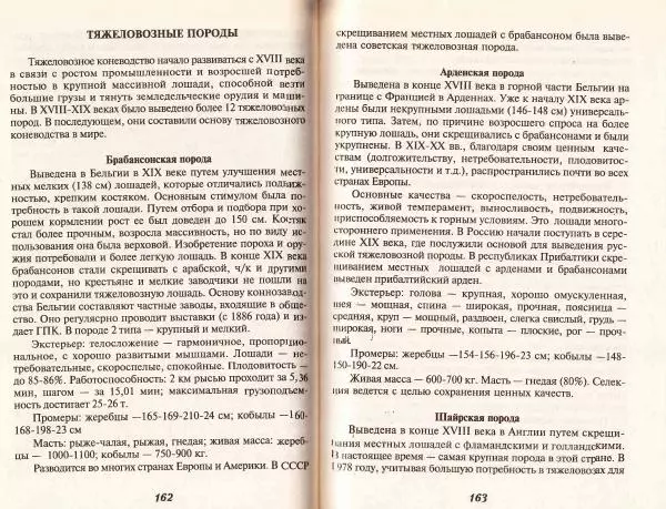Владимир Гладенко - Книга о лошади - Страница № 82