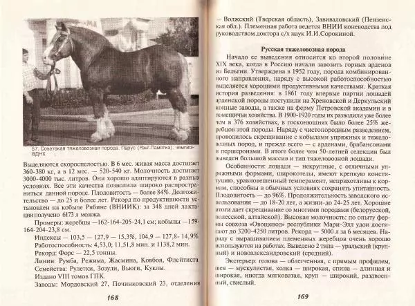 Владимир Гладенко - Книга о лошади - Страница № 85