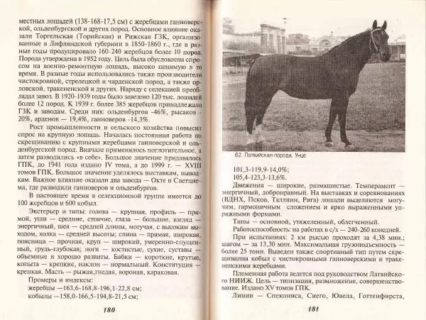 Владимир Гладенко - Книга о лошади - Страница № 91