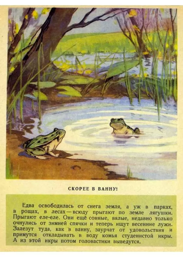 Георгий Скребицкий - Здравствуй, весна - Страница № 8