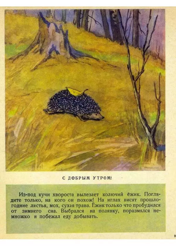 Георгий Скребицкий - Здравствуй, весна - Страница № 9