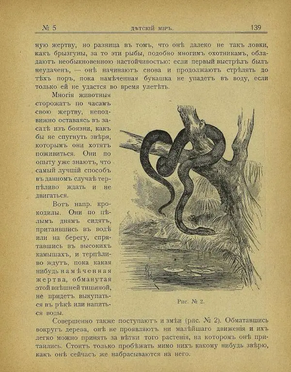  альманах «Детский мир» - Детский мир 1907 №05 - Страница № 13