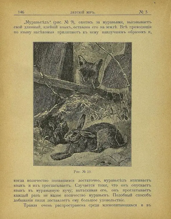  альманах «Детский мир» - Детский мир 1907 №05 - Страница № 19