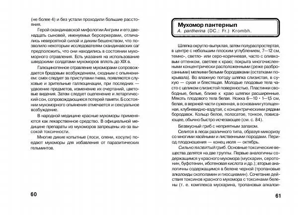 Михаил Вишневский - Несъедобные, ядовитые и галюциногенные грибы - Страница № 31