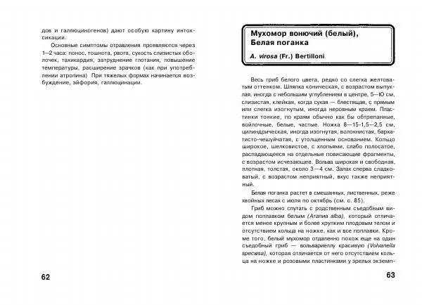 Михаил Вишневский - Несъедобные, ядовитые и галюциногенные грибы - Страница № 32