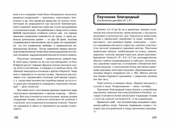 Михаил Вишневский - Несъедобные, ядовитые и галюциногенные грибы - Страница № 55