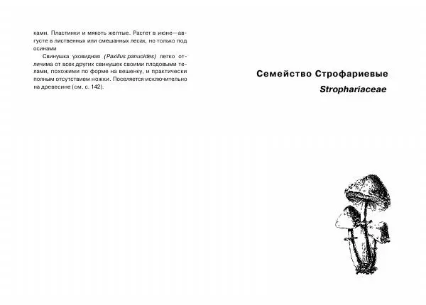 Михаил Вишневский - Несъедобные, ядовитые и галюциногенные грибы - Страница № 83