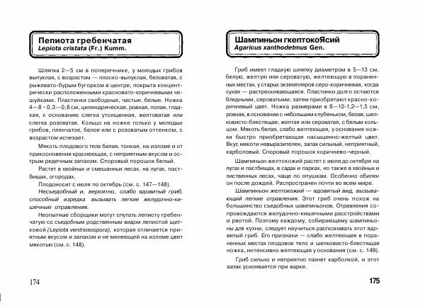 Михаил Вишневский - Несъедобные, ядовитые и галюциногенные грибы - Страница № 88