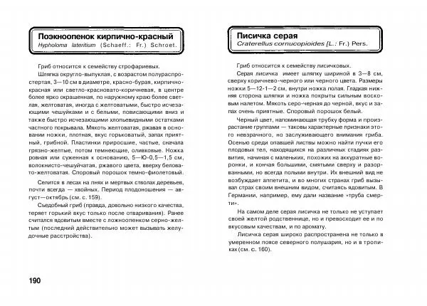 Михаил Вишневский - Несъедобные, ядовитые и галюциногенные грибы - Страница № 96