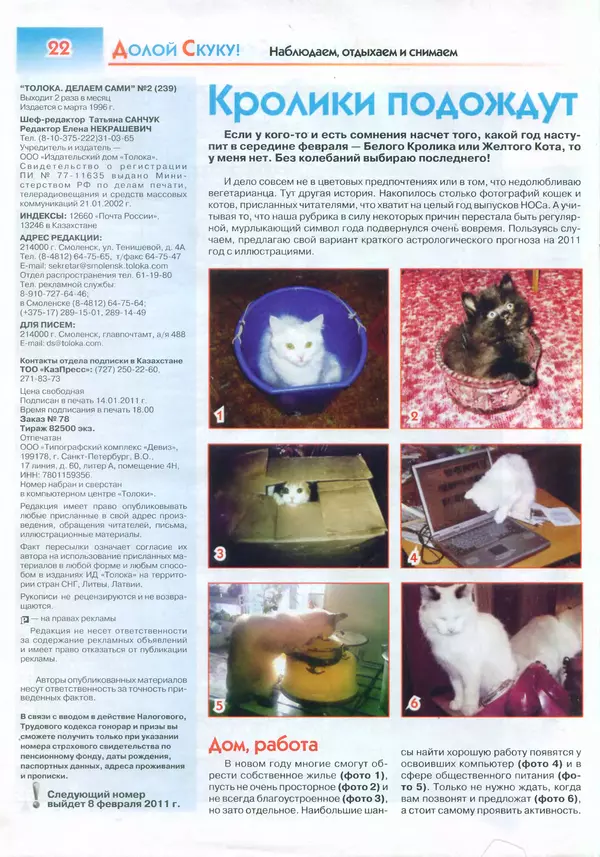  журнал «Делаем сами» (Толока) - Делаем сами 2011 №02(239) - Страница № 19