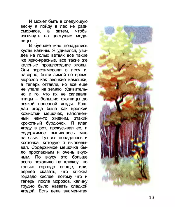 Владимир Солоухин - По грибы. Заметки фенолога - Страница № 15