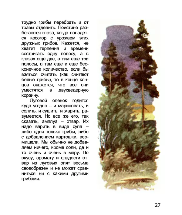 Владимир Солоухин - По грибы. Заметки фенолога - Страница № 29