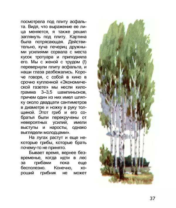 Владимир Солоухин - По грибы. Заметки фенолога - Страница № 39