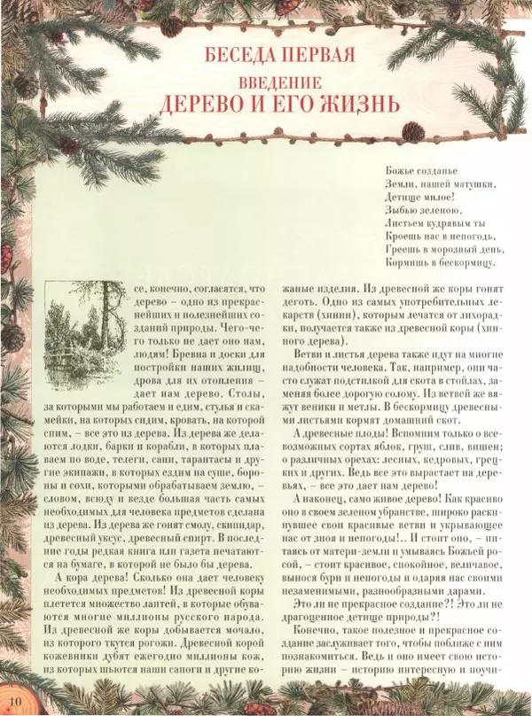 Дмитрий Кайгородов - Беседы о русском лесе - Страница № 10