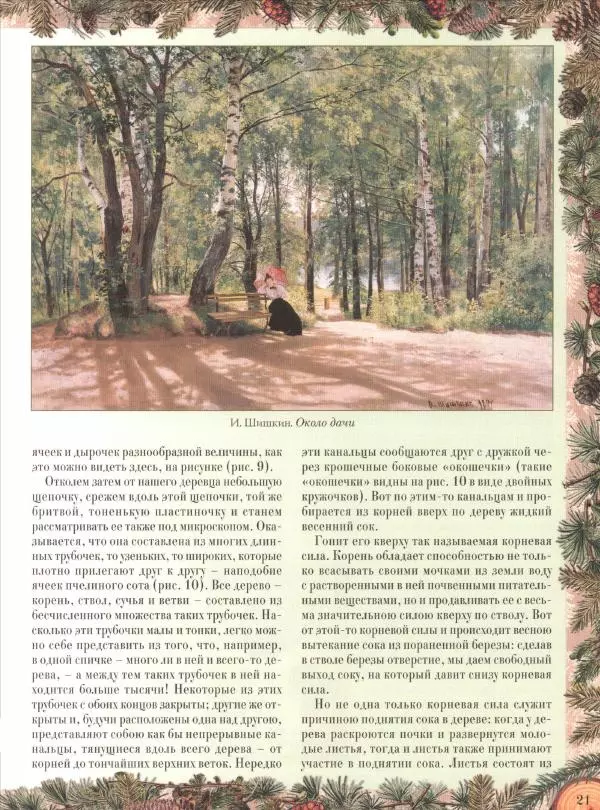 Дмитрий Кайгородов - Беседы о русском лесе - Страница № 21