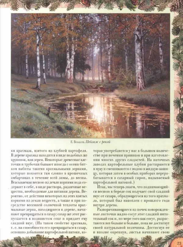 Дмитрий Кайгородов - Беседы о русском лесе - Страница № 23