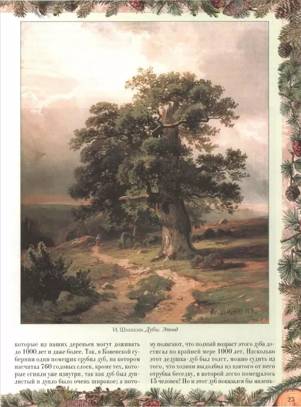 Дмитрий Кайгородов - Беседы о русском лесе - Страница № 25