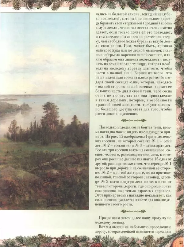 Дмитрий Кайгородов - Беседы о русском лесе - Страница № 35