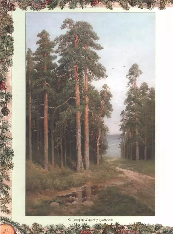 Дмитрий Кайгородов - Беседы о русском лесе - Страница № 36