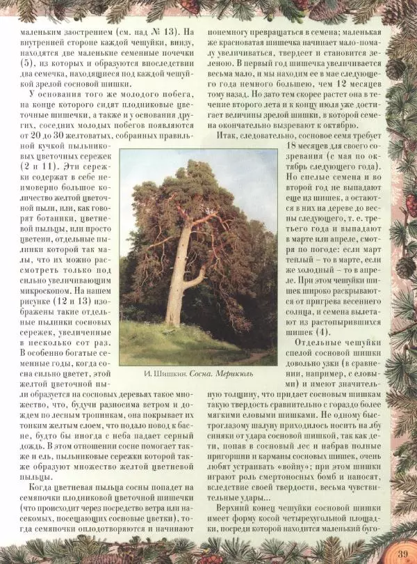 Дмитрий Кайгородов - Беседы о русском лесе - Страница № 39