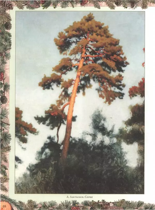 Дмитрий Кайгородов - Беседы о русском лесе - Страница № 46