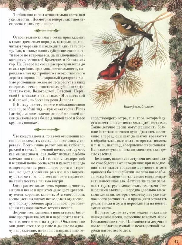 Дмитрий Кайгородов - Беседы о русском лесе - Страница № 47