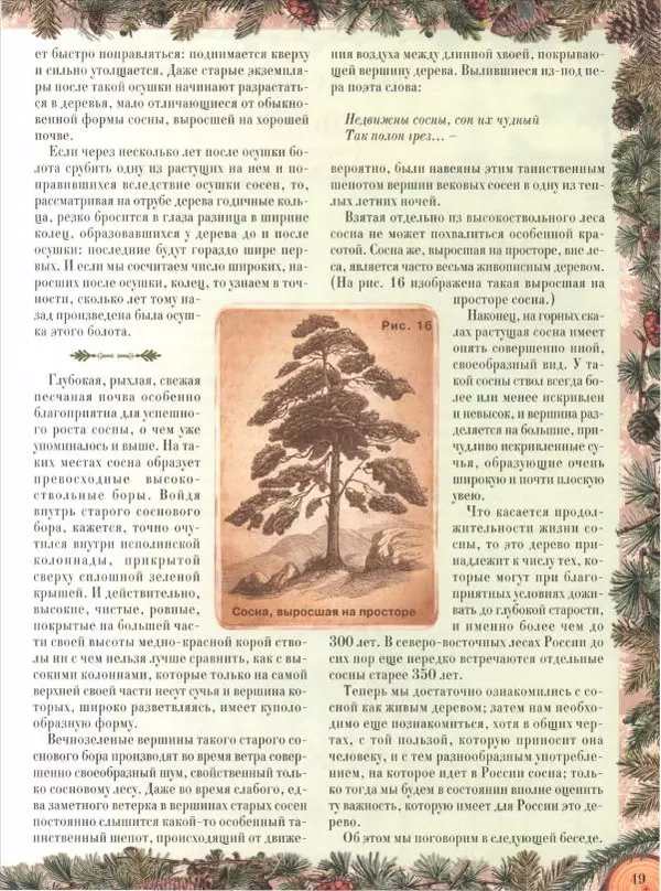 Дмитрий Кайгородов - Беседы о русском лесе - Страница № 49