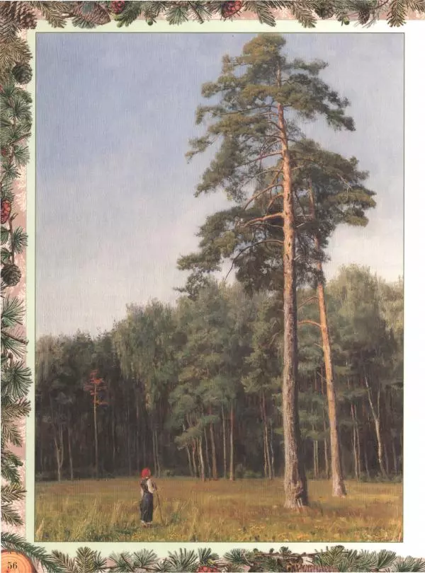 Дмитрий Кайгородов - Беседы о русском лесе - Страница № 56