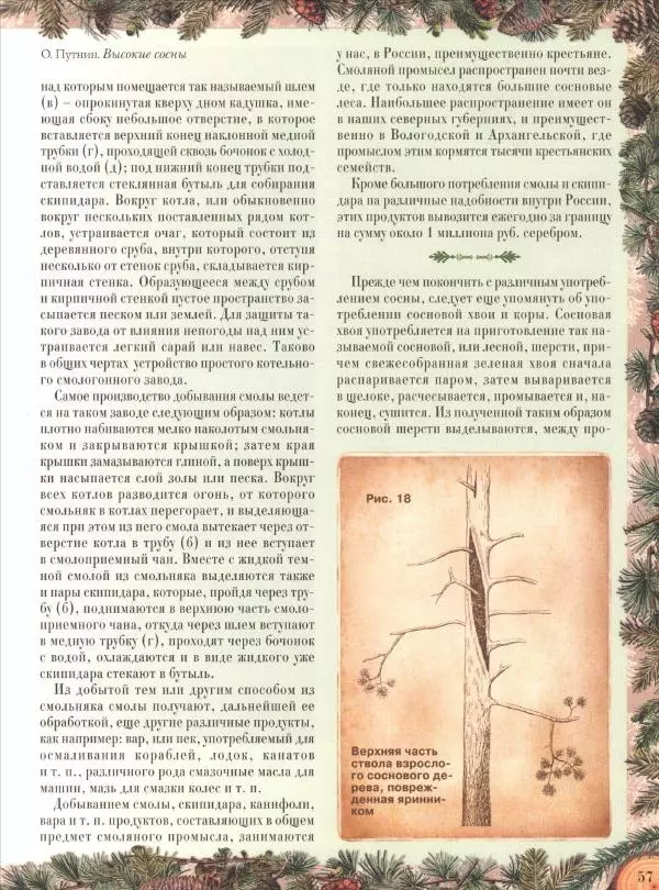 Дмитрий Кайгородов - Беседы о русском лесе - Страница № 57