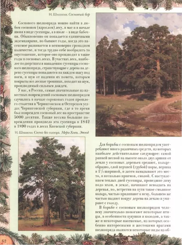 Дмитрий Кайгородов - Беседы о русском лесе - Страница № 62