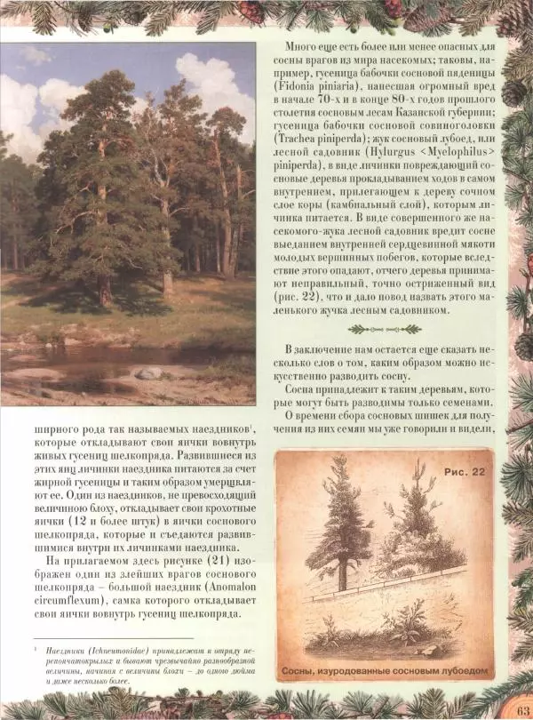 Дмитрий Кайгородов - Беседы о русском лесе - Страница № 63