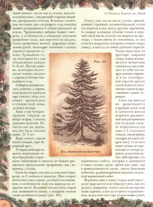 Дмитрий Кайгородов - Беседы о русском лесе - Страница № 70