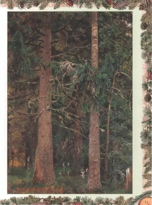 Дмитрий Кайгородов - Беседы о русском лесе - Страница № 71