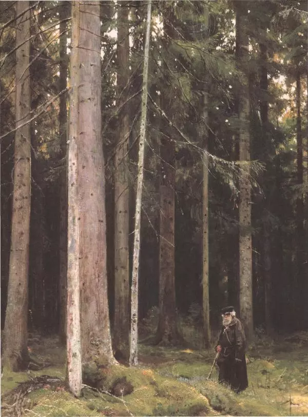 Дмитрий Кайгородов - Беседы о русском лесе - Страница № 72