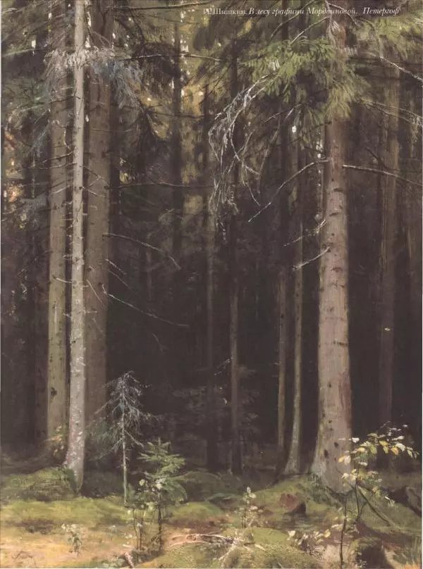 Дмитрий Кайгородов - Беседы о русском лесе - Страница № 73