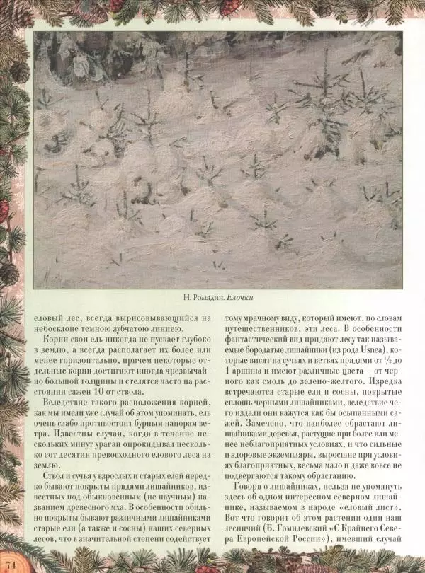 Дмитрий Кайгородов - Беседы о русском лесе - Страница № 74