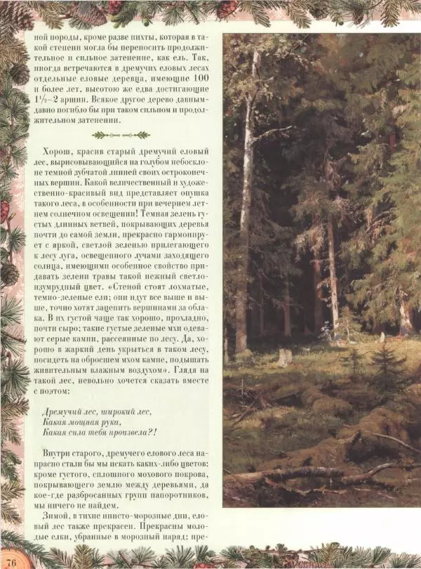 Дмитрий Кайгородов - Беседы о русском лесе - Страница № 76