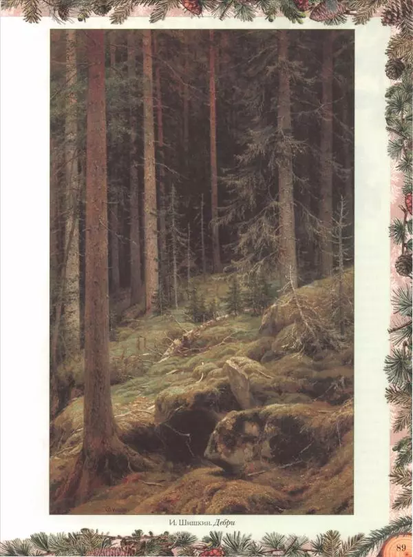 Дмитрий Кайгородов - Беседы о русском лесе - Страница № 89