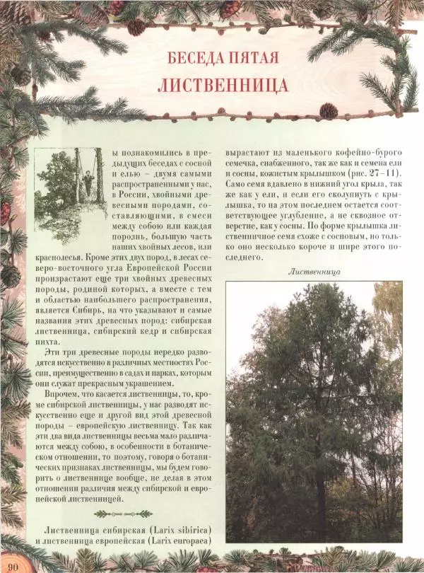 Дмитрий Кайгородов - Беседы о русском лесе - Страница № 90