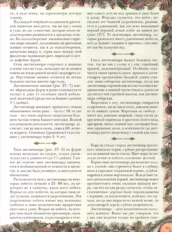 Дмитрий Кайгородов - Беседы о русском лесе - Страница № 93