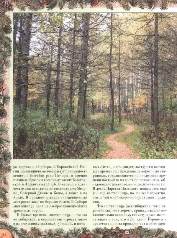 Дмитрий Кайгородов - Беседы о русском лесе - Страница № 94