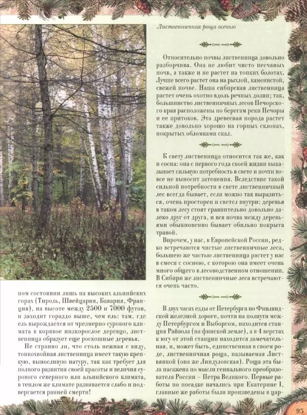 Дмитрий Кайгородов - Беседы о русском лесе - Страница № 95