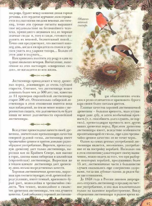 Дмитрий Кайгородов - Беседы о русском лесе - Страница № 97