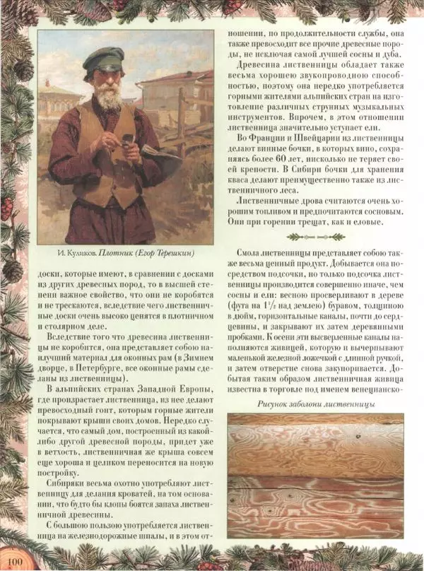 Дмитрий Кайгородов - Беседы о русском лесе - Страница № 100