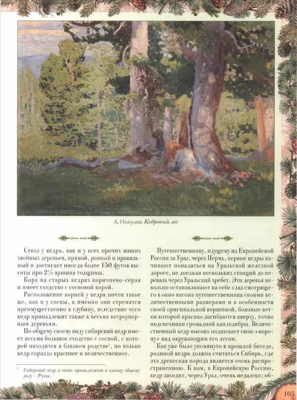 Дмитрий Кайгородов - Беседы о русском лесе - Страница № 105