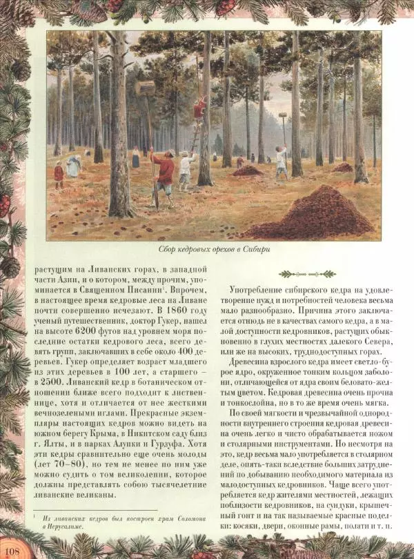 Дмитрий Кайгородов - Беседы о русском лесе - Страница № 108