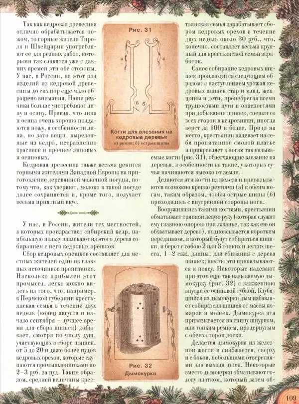 Дмитрий Кайгородов - Беседы о русском лесе - Страница № 109